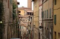 Siena 24